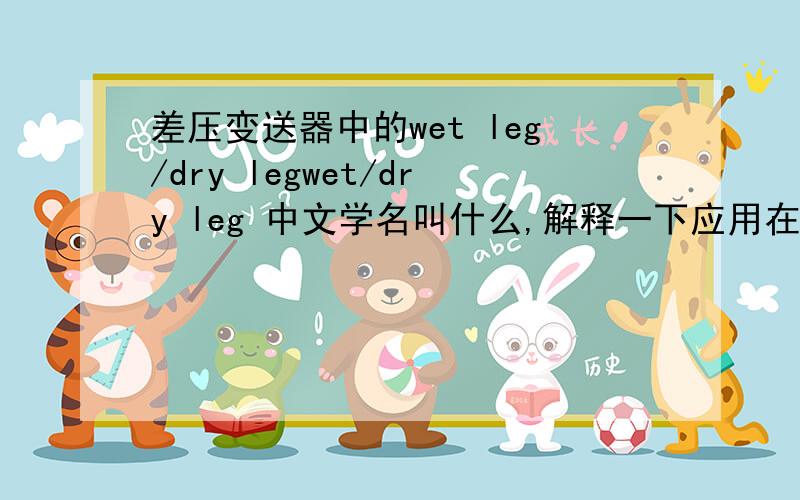 差压变送器中的wet leg/dry legwet/dry leg 中文学名叫什么,解释一下应用在怎样的容器中,以及两种leg的工作原理,