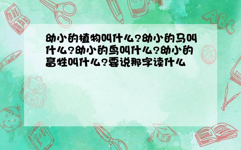 幼小的植物叫什么?幼小的马叫什么?幼小的鸟叫什么?幼小的畜牲叫什么?要说那字读什么