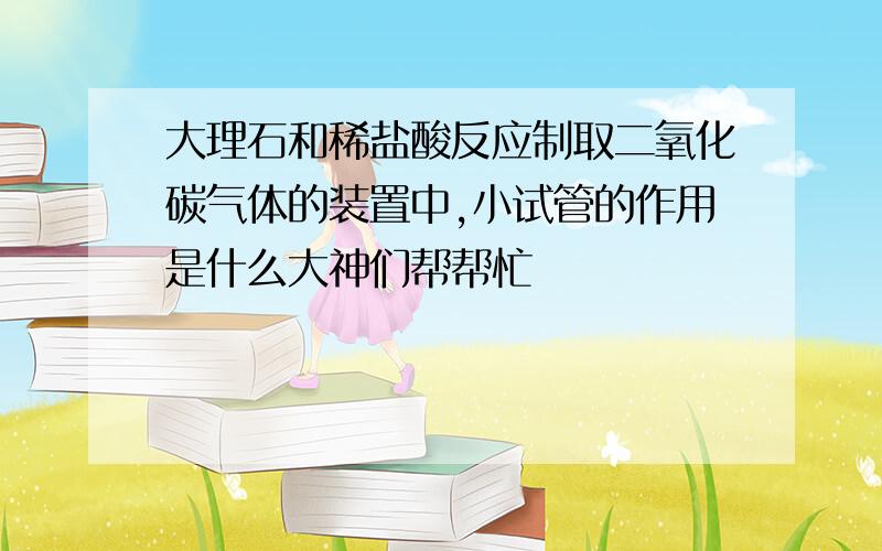 大理石和稀盐酸反应制取二氧化碳气体的装置中,小试管的作用是什么大神们帮帮忙