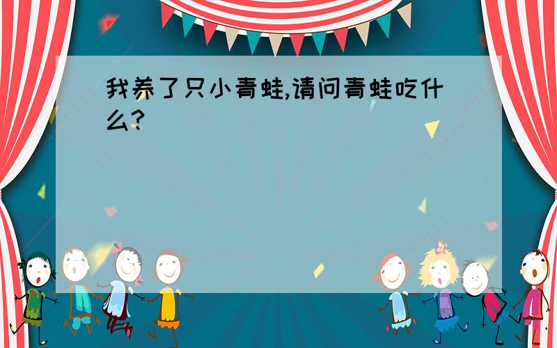 我养了只小青蛙,请问青蛙吃什么?