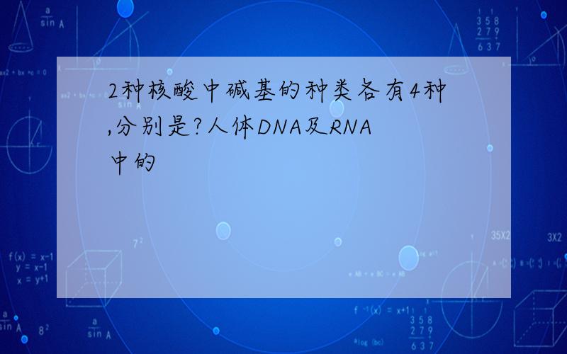 2种核酸中碱基的种类各有4种,分别是?人体DNA及RNA中的