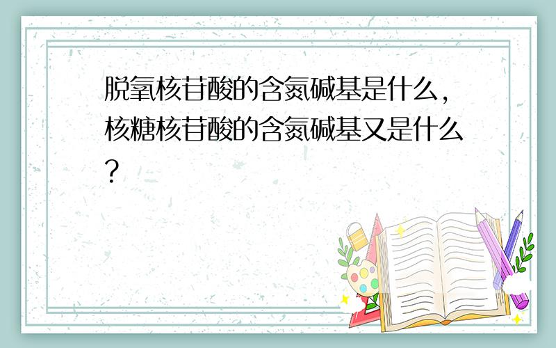 脱氧核苷酸的含氮碱基是什么,核糖核苷酸的含氮碱基又是什么?