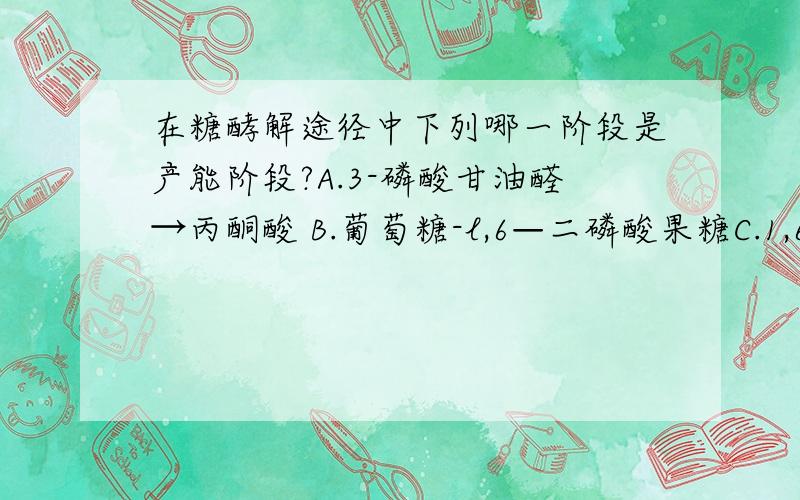 在糖酵解途径中下列哪一阶段是产能阶段?A.3-磷酸甘油醛→丙酮酸 B.葡萄糖-l,6—二磷酸果糖C.1,6-二磷酸果糖→3-磷酸甘油醛 D.葡萄糖→6-磷酸葡萄糖 E.丙酮酸→乳酸