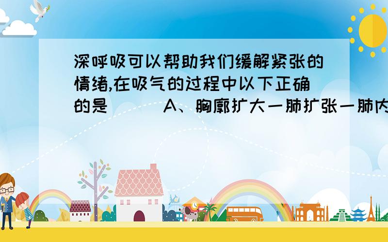 深呼吸可以帮助我们缓解紧张的情绪,在吸气的过程中以下正确的是 ( )A、胸廓扩大一肺扩张一肺内气压大于大气压一气体进入肺B、胸廓回缩一肺缩小一肺内气压小于大气压一气体出肺C、胸