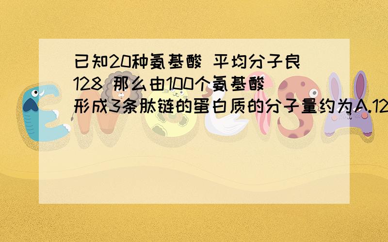 已知20种氨基酸 平均分子良128 那么由100个氨基酸形成3条肽链的蛋白质的分子量约为A.12800 B.11054 C.11018 D11638有100个氨基酸 那么分子量是12800一个氨基酸脱掉一个水也就是12800-18*100也就是11000因