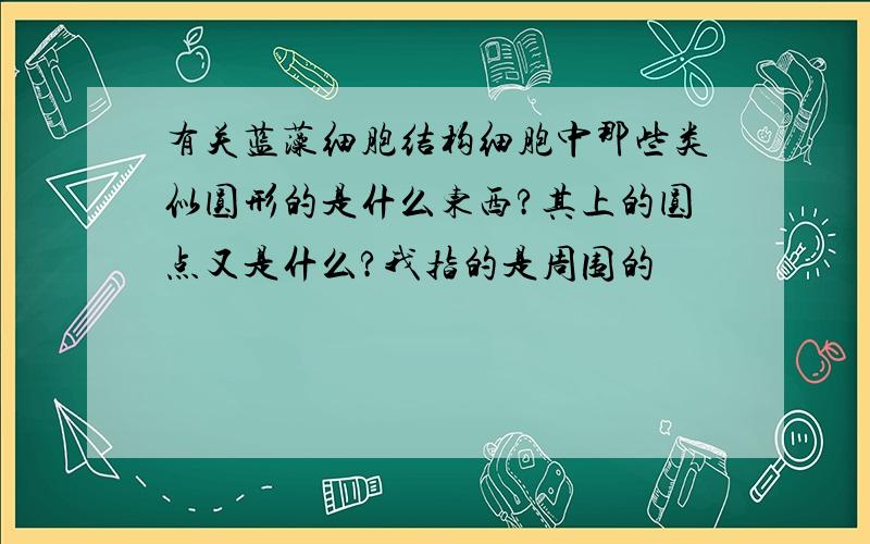 有关蓝藻细胞结构细胞中那些类似圆形的是什么东西?其上的圆点又是什么?我指的是周围的