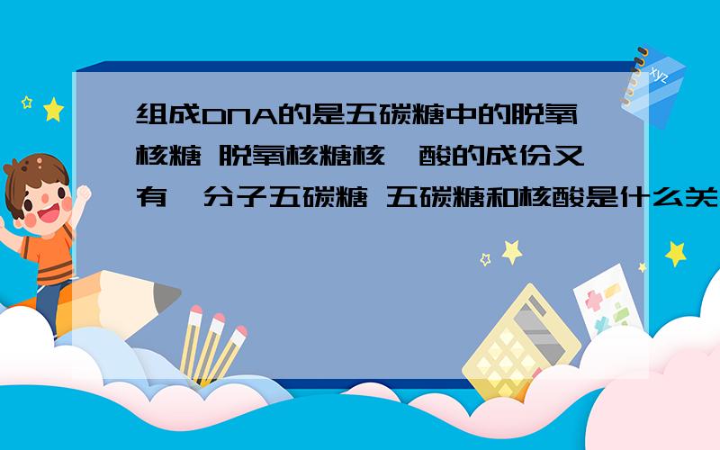 组成DNA的是五碳糖中的脱氧核糖 脱氧核糖核苷酸的成份又有一分子五碳糖 五碳糖和核酸是什么关系 谁的等级比较高?谁属于谁?习题里说：“细胞内组成DNA的五碳糖是 脱氧核糖 ” 教科书又