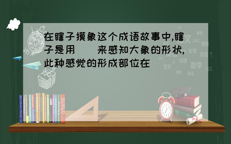 在瞎子摸象这个成语故事中,瞎子是用()来感知大象的形状,此种感觉的形成部位在()