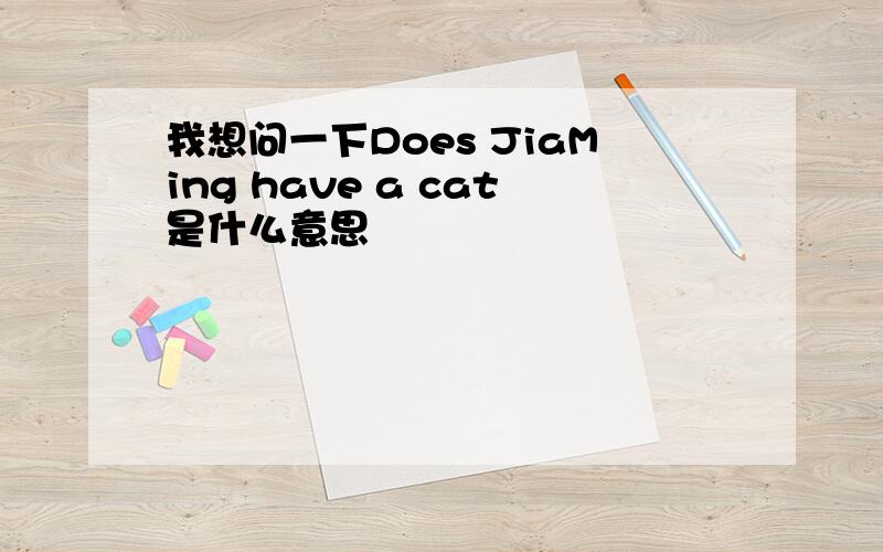 我想问一下Does JiaMing have a cat是什么意思