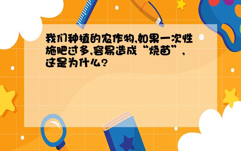 我们种植的农作物,如果一次性施肥过多,容易造成“烧苗”,这是为什么?