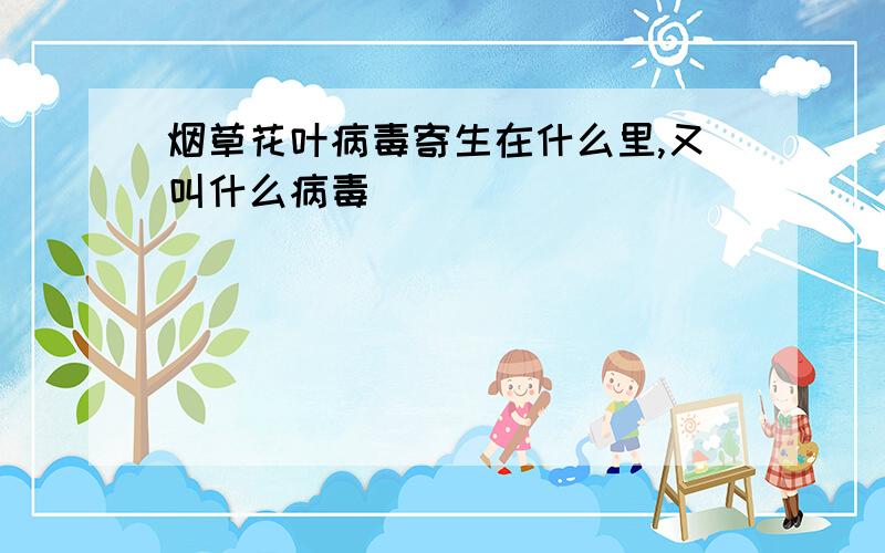 烟草花叶病毒寄生在什么里,又叫什么病毒