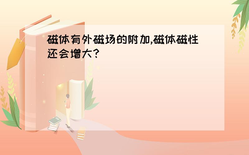 磁体有外磁场的附加,磁体磁性还会增大?