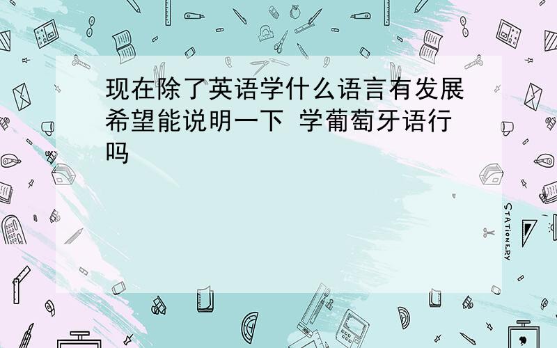 现在除了英语学什么语言有发展希望能说明一下 学葡萄牙语行吗