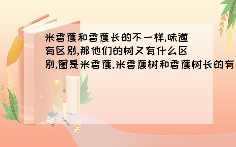 米香蕉和香蕉长的不一样,味道有区别,那他们的树又有什么区别,图是米香蕉.米香蕉树和香蕉树长的有什么区别?