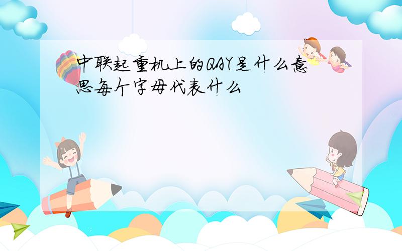 中联起重机上的QAY是什么意思每个字母代表什么