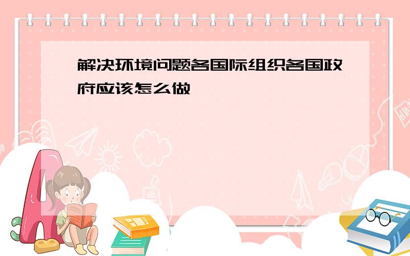 解决环境问题各国际组织各国政府应该怎么做