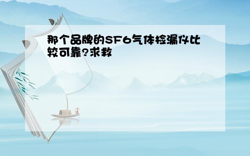 那个品牌的SF6气体检漏仪比较可靠?求救