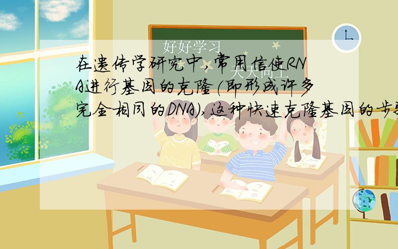 在遗传学研究中,常用信使RNA进行基因的克隆(即形成许多完全相同的DNA),这种快速克隆基因的步骤依次是①转录 ②DNA复制 ③逆转录 ④遗传密码的翻译A.③②① B.③② C.②①④ D.③①②