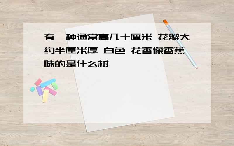 有一种通常高几十厘米 花瓣大约半厘米厚 白色 花香像香蕉味的是什么树