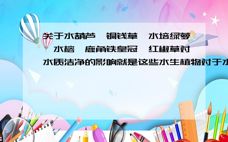 关于水葫芦、铜钱草、水培绿萝、水榕、鹿角铁皇冠、红椒草对水质洁净的影响就是这些水生植物对于水质的综合指标.如PH、悬浮物、溶解氧、COD、BOD等还有重金属的吸收作用.能不能达到净