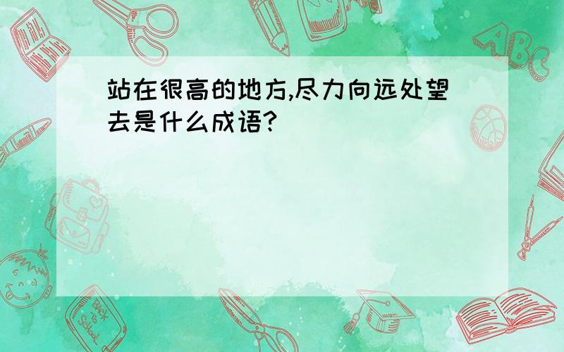 站在很高的地方,尽力向远处望去是什么成语?