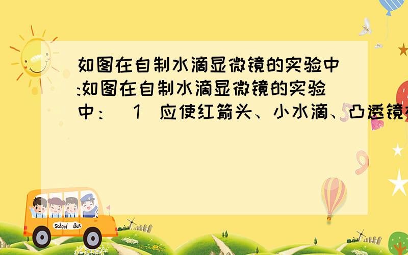 如图在自制水滴显微镜的实验中:如图在自制水滴显微镜的实验中：（1）应使红箭头、小水滴、凸透镜在同一 上,且始终保持凸透镜是水平的,眼睛离凸透镜不要太近.（2）透过图中的小水滴应