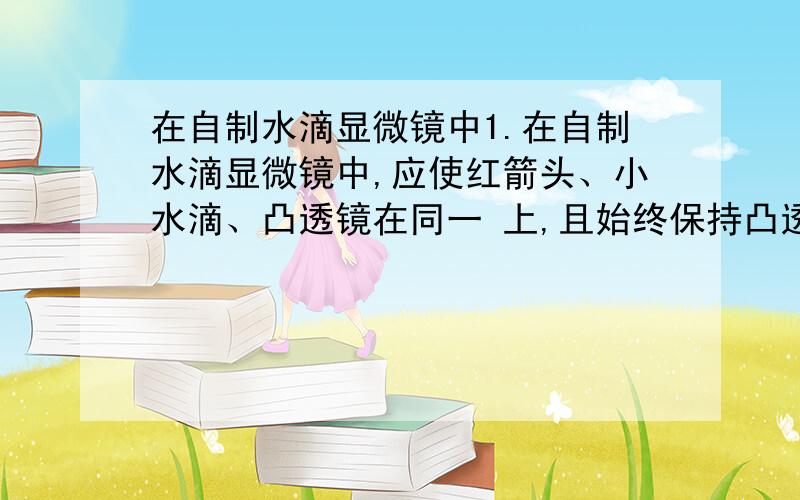 在自制水滴显微镜中1.在自制水滴显微镜中,应使红箭头、小水滴、凸透镜在同一 上,且始终保持凸透镜是水平的,眼睛离凸透镜不要太近2.透过小水滴应该能看到一个（ ） 、（ ）的箭头,如果