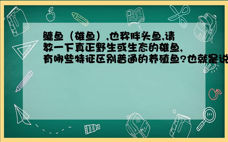 鳙鱼（雄鱼）,也称胖头鱼,请教一下真正野生或生态的雄鱼,有哪些特征区别普通的养殖鱼?也就是说,怎样鉴别雄鱼是否是生态鱼,是品质良好的鱼,有哪些体态特征等?