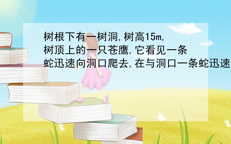 树根下有一树洞,树高15m,树顶上的一只苍鹰,它看见一条蛇迅速向洞口爬去,在与洞口一条蛇迅速向洞口爬去,在