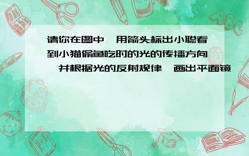 请你在图中,用箭头标出小聪看到小猫偷鱼吃时的光的传播方向,并根据光的反射规律,画出平面镜