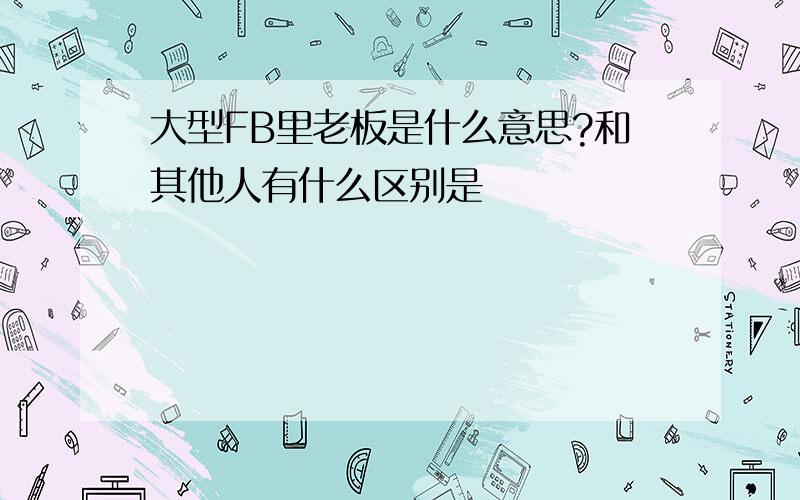 大型FB里老板是什么意思?和其他人有什么区别是