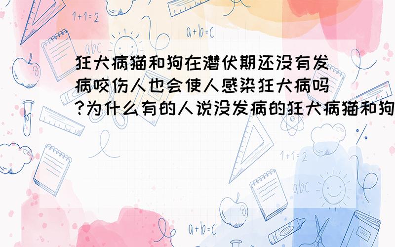 狂犬病猫和狗在潜伏期还没有发病咬伤人也会使人感染狂犬病吗?为什么有的人说没发病的狂犬病猫和狗,是不会传染狂犬病的.有的人说这样也会传染,到底会不会啊!拜拖你们别乱说啊!你们知