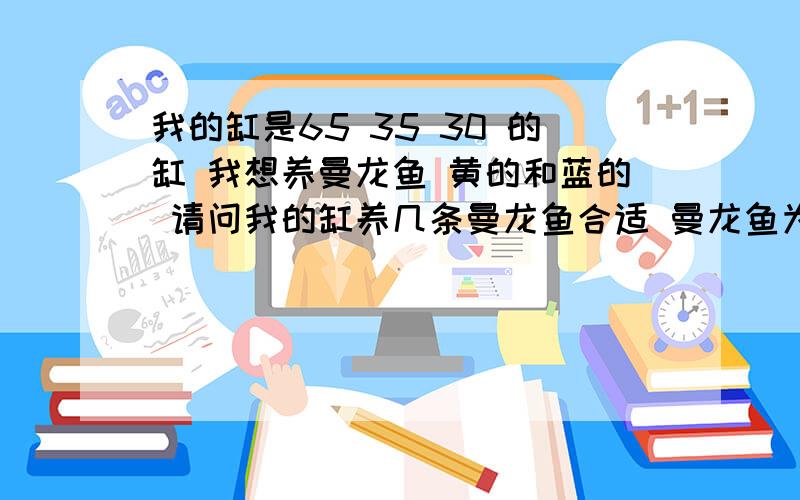 我的缸是65 35 30 的缸 我想养曼龙鱼 黄的和蓝的 请问我的缸养几条曼龙鱼合适 曼龙鱼为什么是五耐鱼之一 龙鱼是不是不用大氧