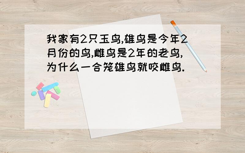 我家有2只玉鸟,雄鸟是今年2月份的鸟,雌鸟是2年的老鸟,为什么一合笼雄鸟就咬雌鸟.