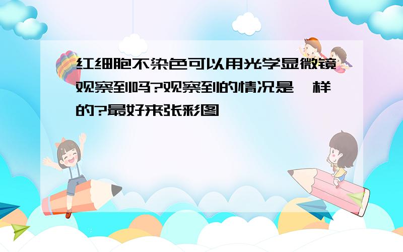 红细胞不染色可以用光学显微镜观察到吗?观察到的情况是咋样的?最好来张彩图