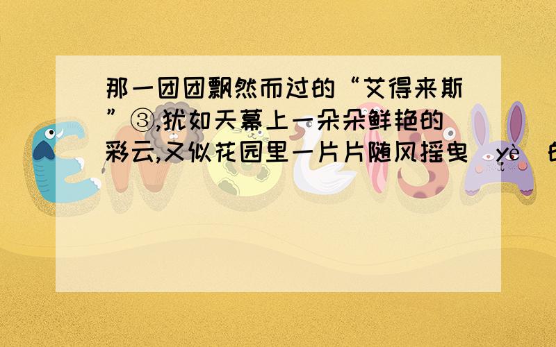 那一团团飘然而过的“艾得来斯”③,犹如天幕上一朵朵鲜艳的彩云,又似花园里一片片随风摇曳（yè）的花儿缩句是什么