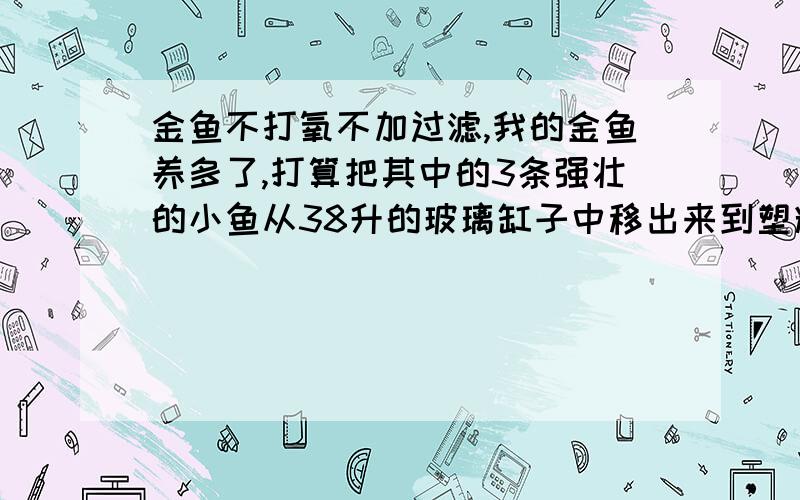 金鱼不打氧不加过滤,我的金鱼养多了,打算把其中的3条强壮的小鱼从38升的玻璃缸子中移出来到塑料的整理箱中养.整理箱是110升的.请问,水体够大,不加氧气和过滤,可以养活它们吗?（不想再