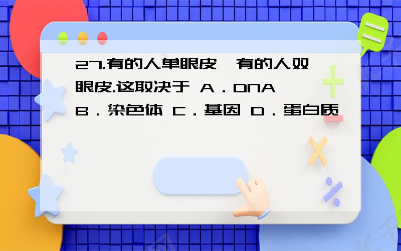 27.有的人单眼皮,有的人双眼皮.这取决于 A．DNA B．染色体 C．基因 D．蛋白质