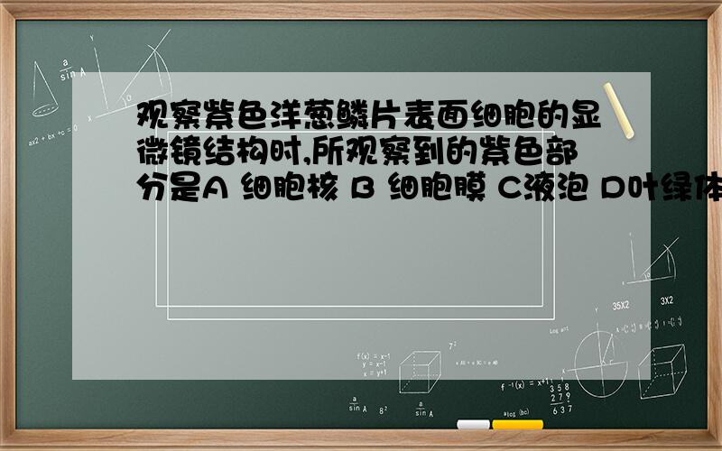 观察紫色洋葱鳞片表面细胞的显微镜结构时,所观察到的紫色部分是A 细胞核 B 细胞膜 C液泡 D叶绿体.大豆种子结构包括 1种皮 2子叶 3胚 4胚乳5 胚芽 A124 B13 C245 D34