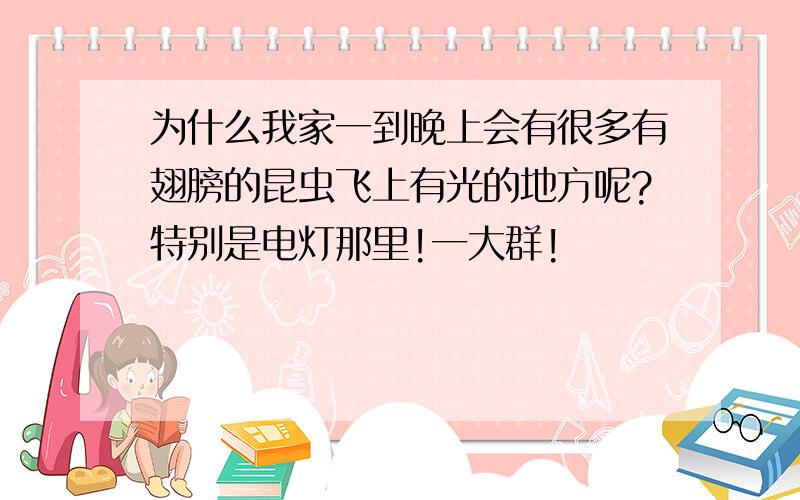 为什么我家一到晚上会有很多有翅膀的昆虫飞上有光的地方呢?特别是电灯那里!一大群!