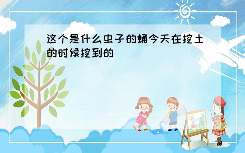 这个是什么虫子的蛹今天在挖土的时候挖到的