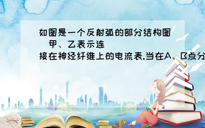 如图是一个反射弧的部分结构图甲、乙表示连接在神经纤维上的电流表.当在A、B点分别给以能引起兴奋的刺激甲、乙电流表的指针发生的变化情况完全不懂啊,为什么是B,