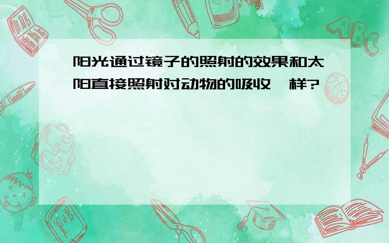 阳光通过镜子的照射的效果和太阳直接照射对动物的吸收一样?