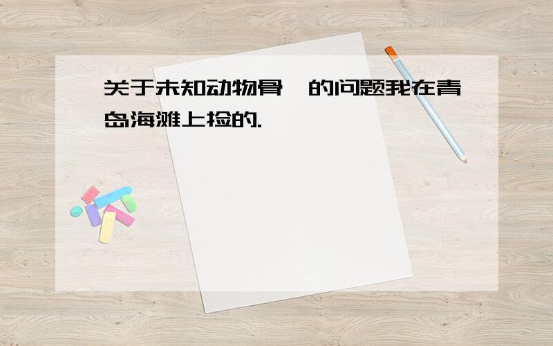 关于未知动物骨骼的问题我在青岛海滩上捡的.