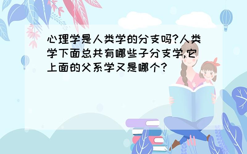 心理学是人类学的分支吗?人类学下面总共有哪些子分支学,它上面的父系学又是哪个?