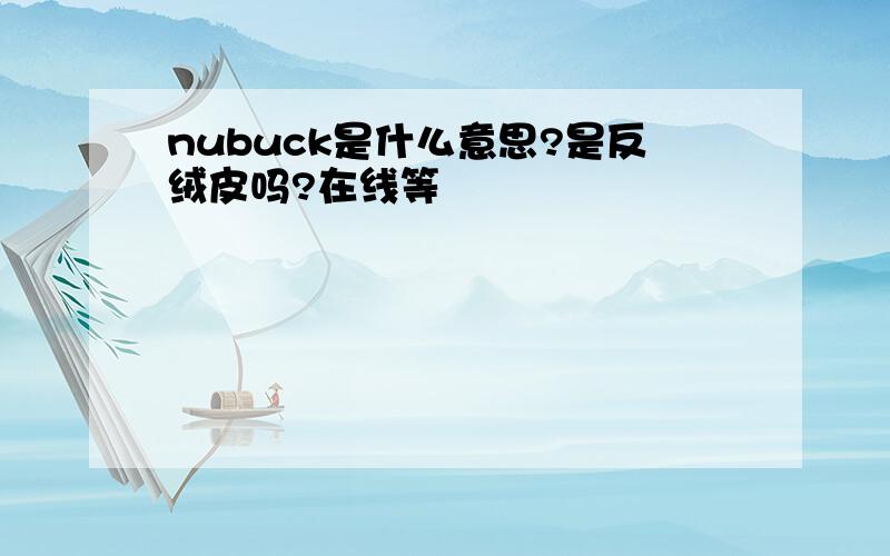 nubuck是什么意思?是反绒皮吗?在线等