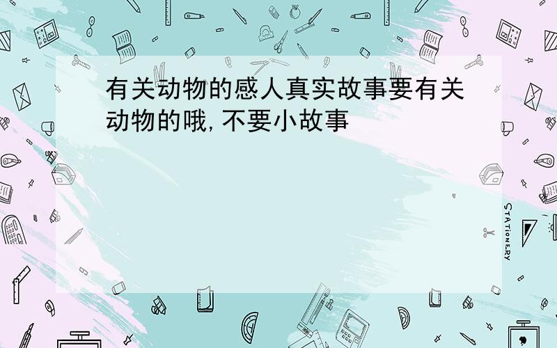 有关动物的感人真实故事要有关动物的哦,不要小故事