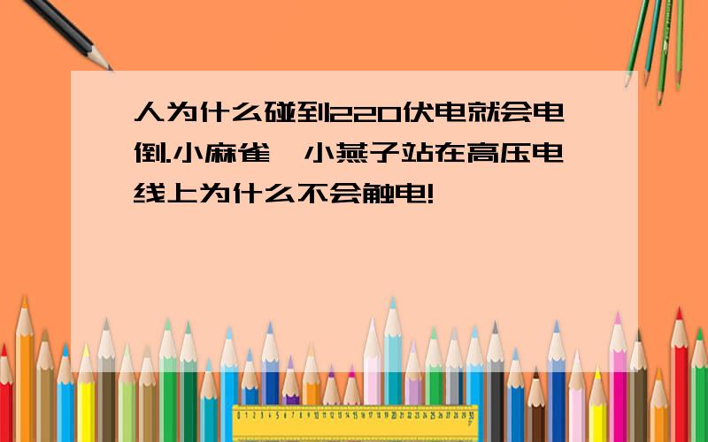 人为什么碰到220伏电就会电倒.小麻雀,小燕子站在高压电线上为什么不会触电!