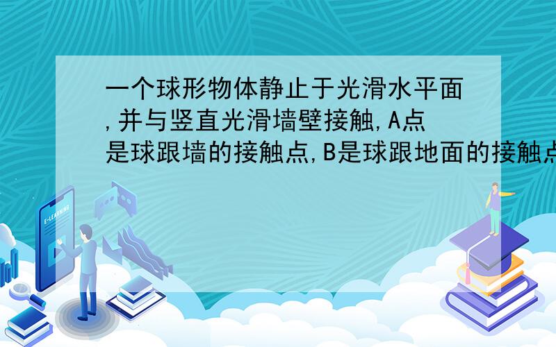 一个球形物体静止于光滑水平面,并与竖直光滑墙壁接触,A点是球跟墙的接触点,B是球跟地面的接触点A、物体受重力、B点支持力、A点弹力作用B、物体受重力、B点支持力作用C、物体受重力,B点