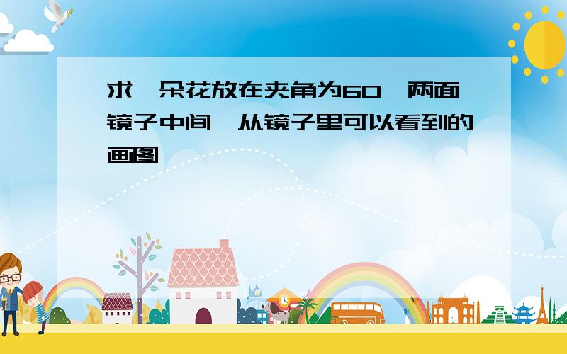 求一朵花放在夹角为60°两面镜子中间,从镜子里可以看到的画图